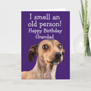 Tarjeta divertida de cumpleaños para perros