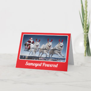 Tarjeta divertida de Navidad con perro Samoyed