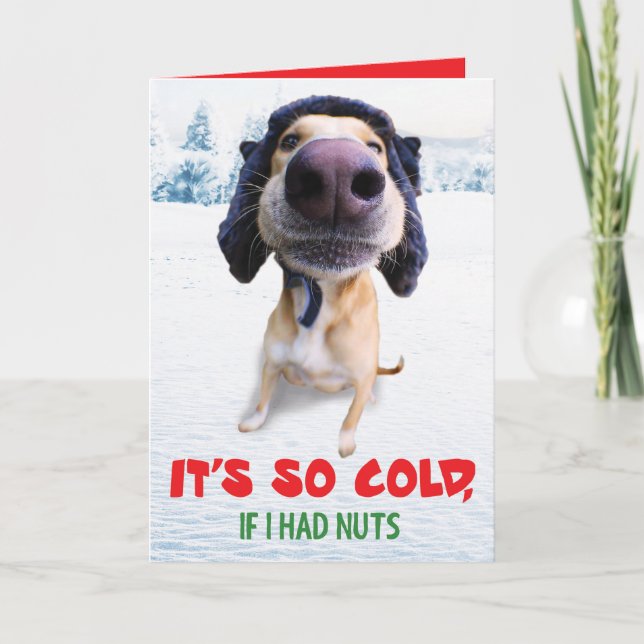 Tarjeta divertida de Navidad del perro Teddy el ho (Anverso)