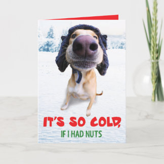 Tarjeta divertida de Navidad del perro Teddy el ho