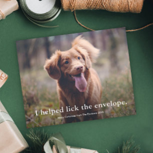 Tarjeta divertida de Navidad para mascotas con lam