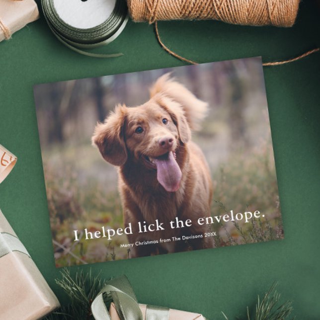 Tarjeta divertida de Navidad para mascotas con lam (Funny pet photo christmas holiday cards.)