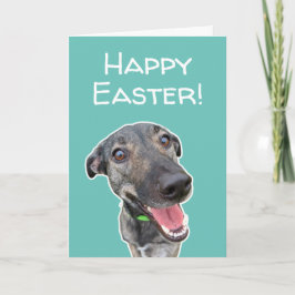 Tarjeta divertida de Pascua para amantes de perros