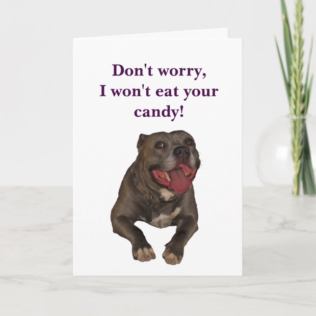 Tarjeta divertida de Pitbull pascua (Anverso)