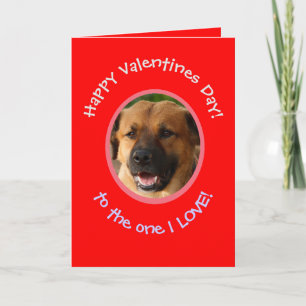 Tarjeta divertida de San Valentín de perro a dueño