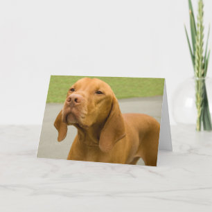 Tarjeta divertida de Vizsla con foto de perro
