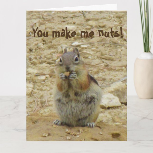Tarjeta divertida del Chipmunk (Anverso)
