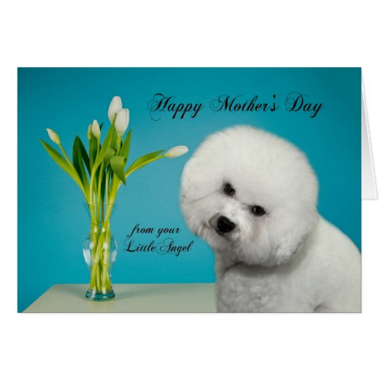 Tarjeta divertida del día de madre de Bichon