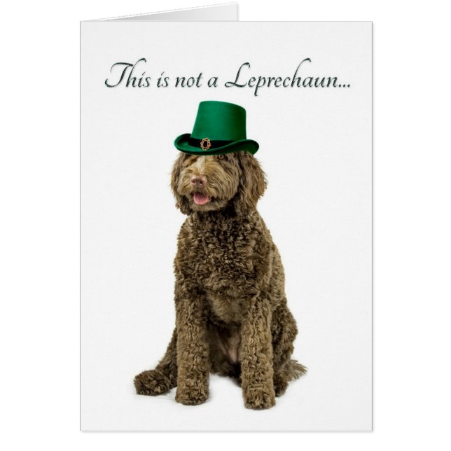 Tarjeta divertida del Leprechaun de Labradoodle (Frente)