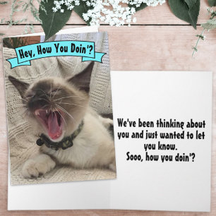 Tarjeta Divertida Foto de Gato Siames Yellando Cómo Estás
