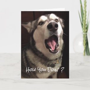 Tarjeta Divertida Foto de Perro Alaskan Malamute Pensando