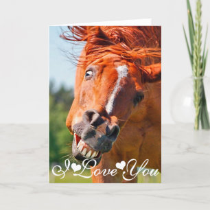 Tarjeta Divertida fotografía de caballo riendo Te Amo
