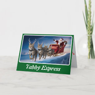 Tarjeta Divertida Navidad de Gato Gris Tabby