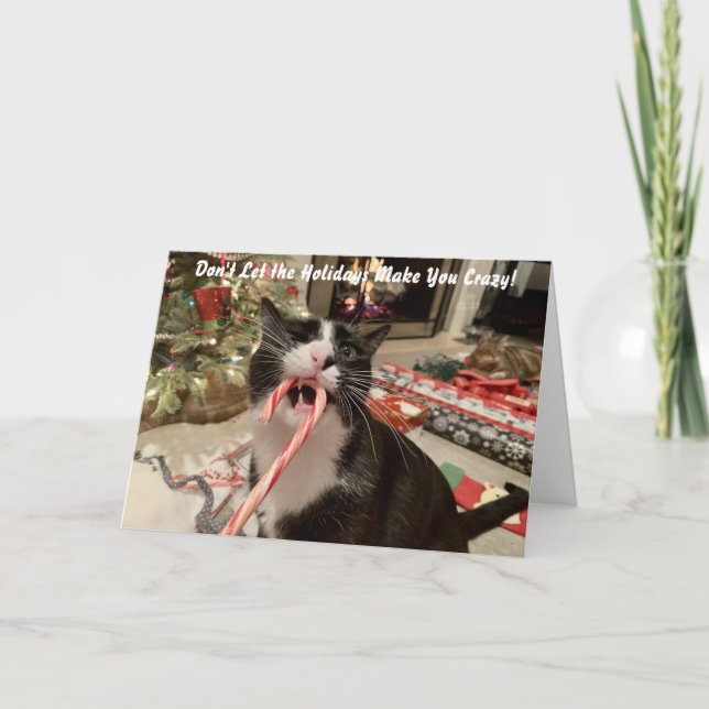 Tarjeta divertida para Navidades gatos (Anverso)