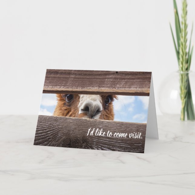 Tarjeta divertida sobre visitarlos. (Anverso)