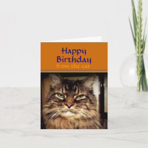 Tarjeta Divertida sonrisa de gato es tu saludo de cumpleañ
