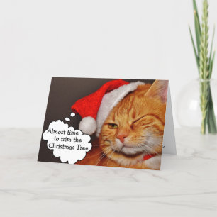 Tarjeta divertida y linda de Feliz Navidad con gat