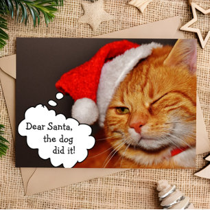 Tarjeta divertida y linda de Feliz Navidad con gat
