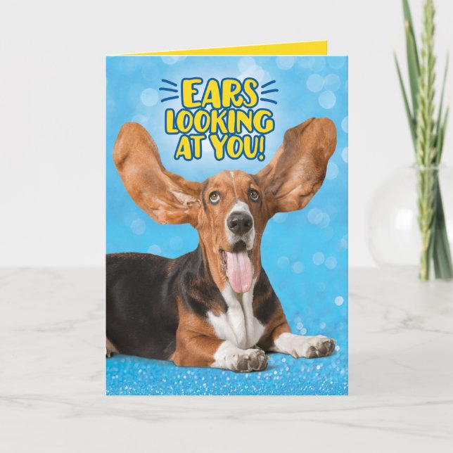 Tarjeta Divertidas Orejas De Los Basset Mirándote Felicita (Anverso)