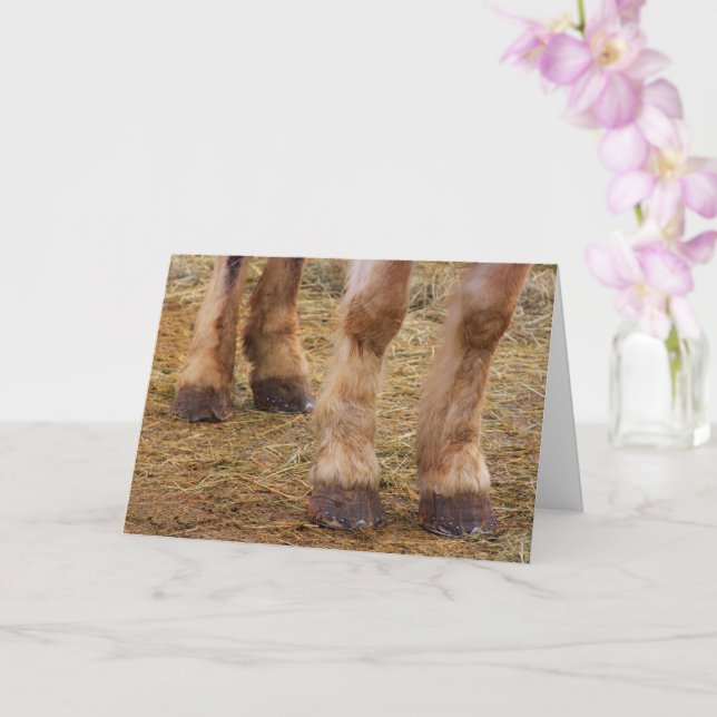 Tarjeta Divertidas Piernas de Caballo (Orquídea)