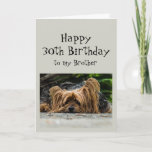 Tarjeta Divertido 30 cumpleaños Brother Cute Dog Animal<br><div class="desc">Gracioso 30° Treinta Cumpleaños Hermano Cute Yorkshire Terrier Yorkie Dog Animal</div>