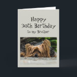 Tarjeta Divertido 30 cumpleaños Brother Cute Dog Animal<br><div class="desc">Gracioso 30° Treinta Cumpleaños Hermano Cute Yorkshire Terrier Yorkie Dog Animal</div>