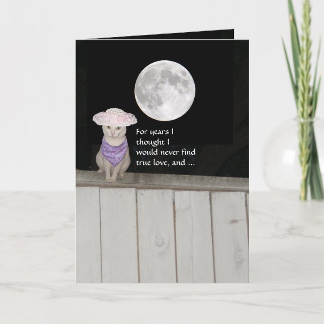 Tarjeta Divertido aniversario de gatos para marido (Anverso)