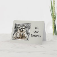 Divertido aplauso Raccoon con viejo humor Cumpleañ