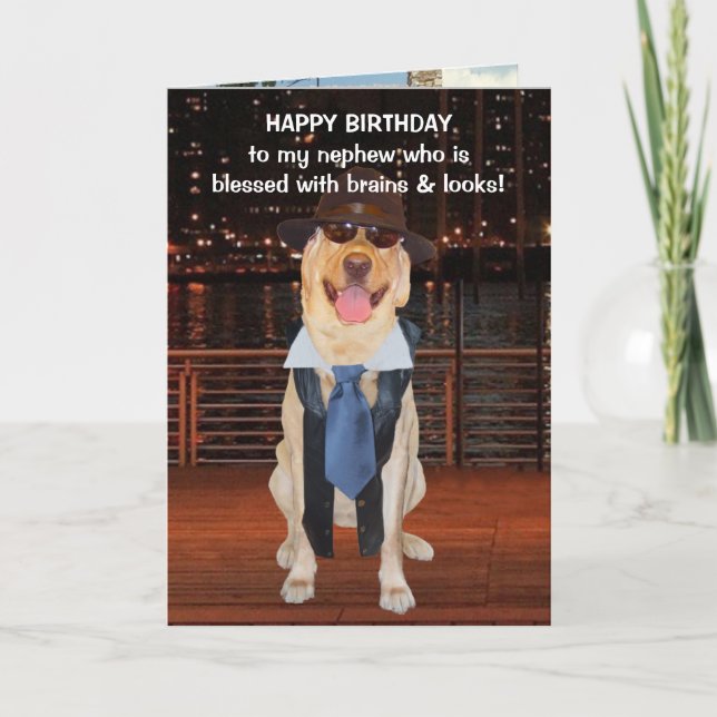 Tarjeta Divertido cumpleaños de perro/laboratorio para sob (Anverso)