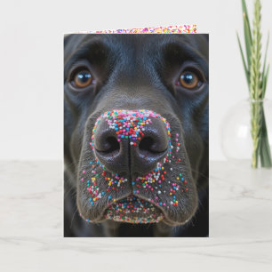 Tarjeta Divertido cumpleaños perro negro de laboratorio co