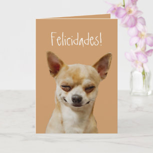 Tarjeta Divertido perro chihuahua a Personalizar por cumpl