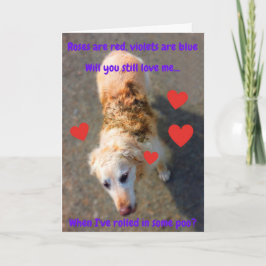 Tarjeta Divertido perro de San Valentín entró...