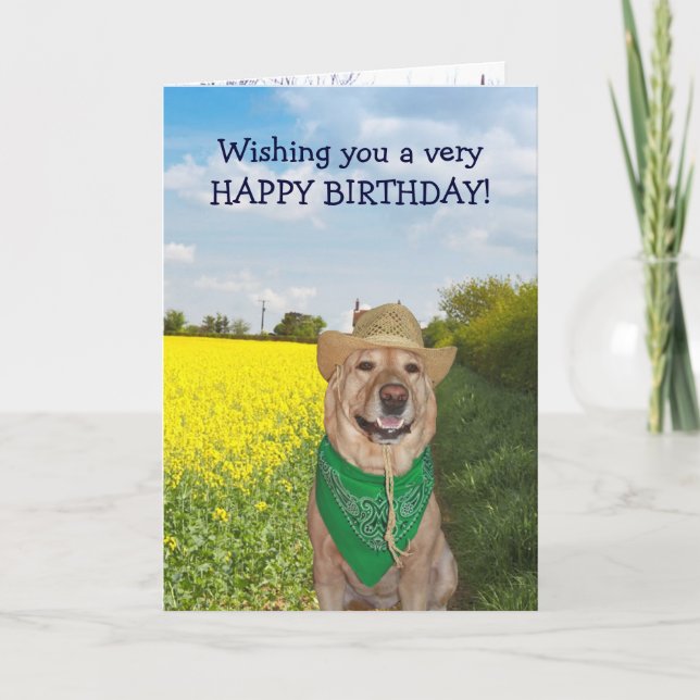 Tarjeta Divertido perro/laboratorio sin toros Cumpleaños (Anverso)