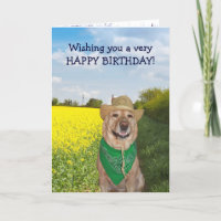 Divertido perro/laboratorio sin toros Cumpleaños