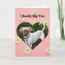 Tarjeta Divertido Perro Muddy Realmente Te Cavo Valentín
