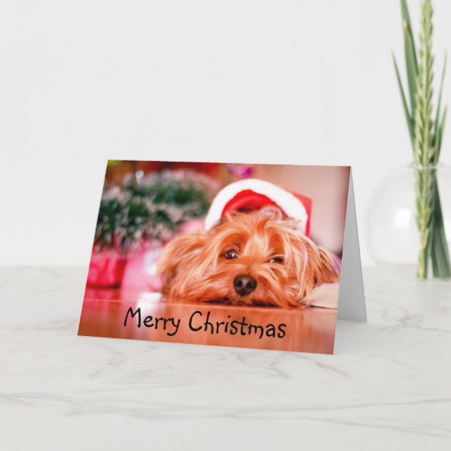 Tarjeta Divertido perro Yorkie cansado de Navidad (Anverso)