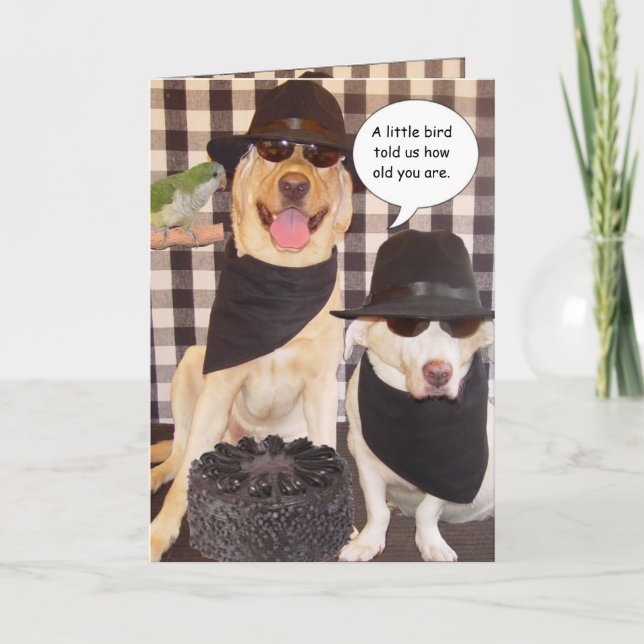 Tarjeta Divertido por la colina (Anverso)