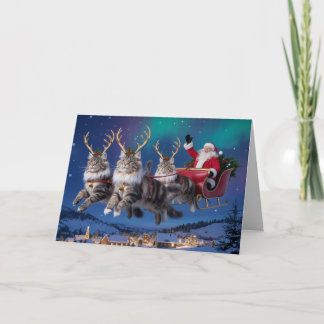 Tarjeta Divertido Reno de Maine Coon Navidad