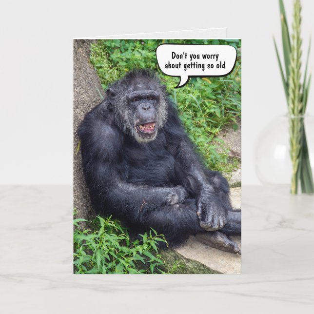 Tarjeta Divertido Volviendo más viejo Chimpanzee de cumple (Anverso)