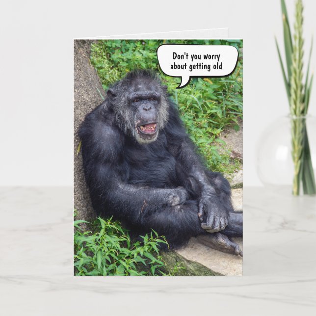 Tarjeta Divertido y viejo chimpancé de cumpleaños (Anverso)