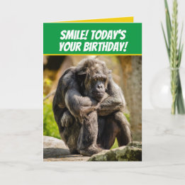 Tarjeta Divertidos chimpancés como anciano gruñón