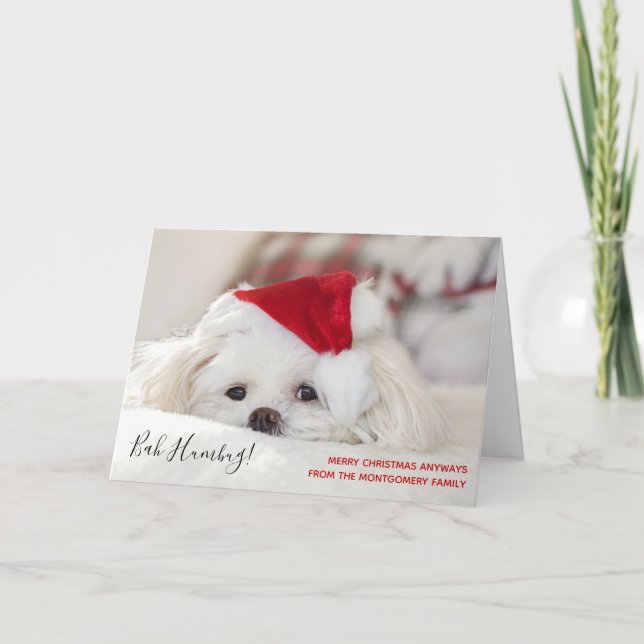 Tarjeta Divertidos Navidades de Perro Blanco Bah Humbug (Anverso)