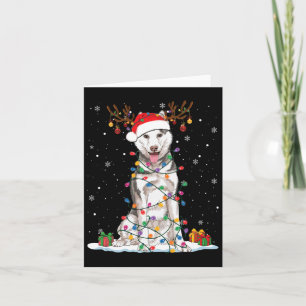 Tarjeta Divertidos Navidades de Perros Husky iluminan Navi