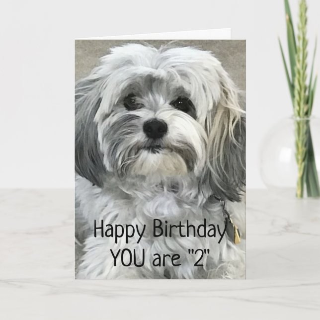 TARJETA DIVERTIRSE DE UN SOLO **2º** CUMPLEAÑOS (Anverso)