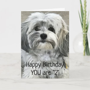 TARJETA DIVERTIRSE DE UN SOLO **2º** CUMPLEAÑOS