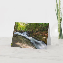 Tarjeta Dividir caídas en la carrera de primavera de arena