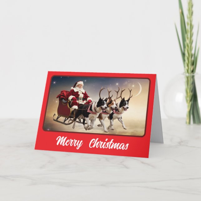 Tarjeta Diviértete Border Collie Navidad Festejos (Anverso)