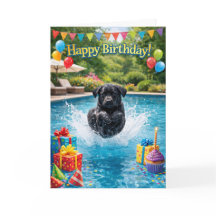 Diviértete salpicando en la piscina con cachorro l