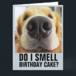 TARJETA DO I SMELL BIRTHDAY CAKE? FUNNY CLOSEUP DOG CARDS<br><div class="desc">DO I SMELL BIRTHDAY CAKE? CARDS</div>