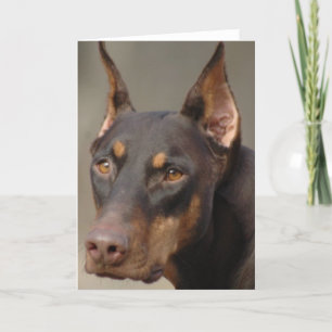 Tarjeta Doberman